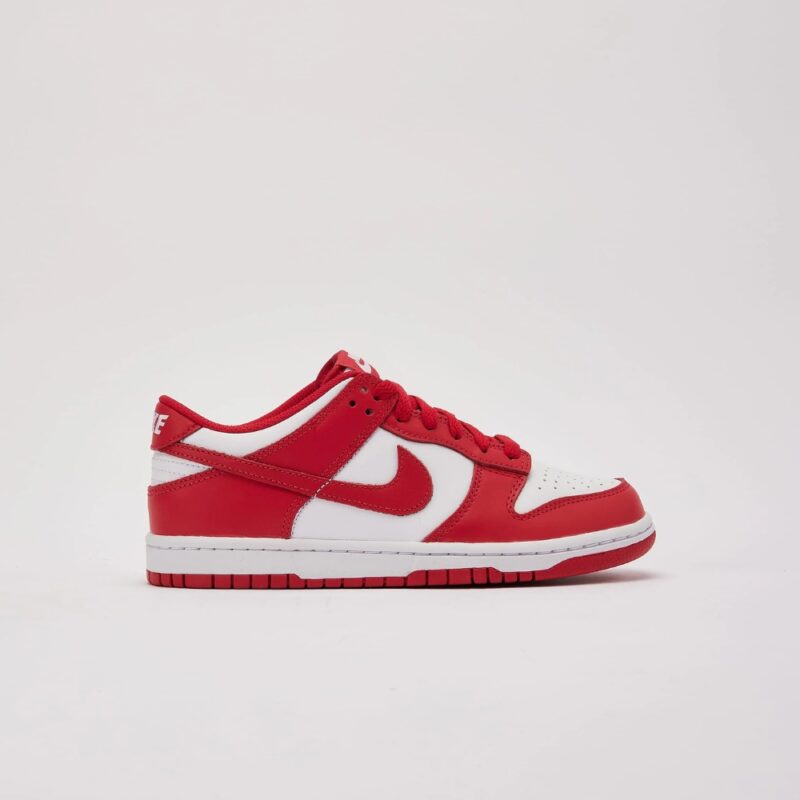 Nike Dunk Low Retro -  Redwood