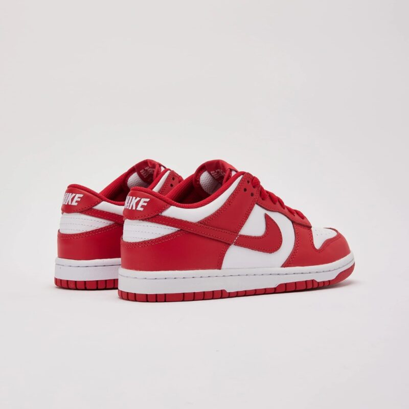 Nike Dunk Low Retro -  Redwood - Image 3
